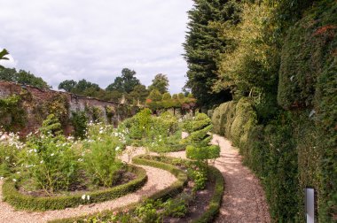 Resmi Bahçe çiçek yatak