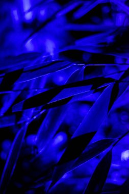 Blue leaf abstract art print or background texture from nature with blue lighting at night