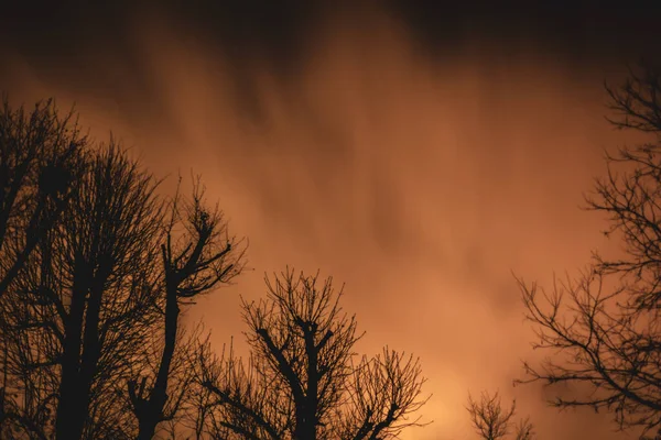 Wolken Ziehen Schnell Über Einen Dramatischen Nachthimmel Hinter Bäumen — Stockfoto