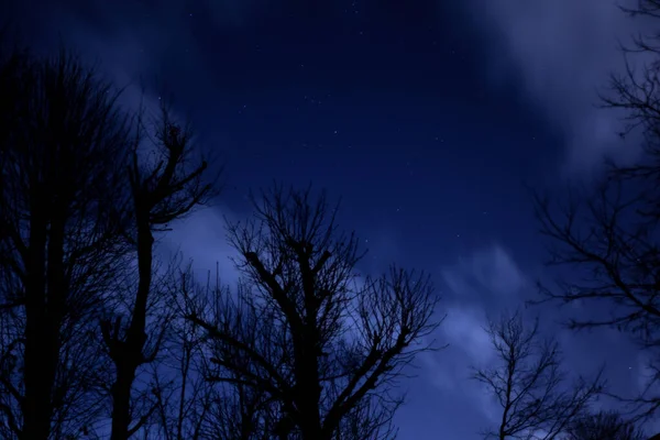 밤하늘에 별들의 크로노스를 움직이는 — 스톡 사진