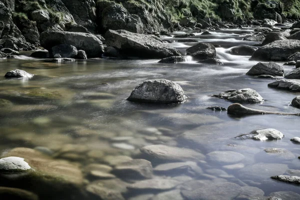 Clear calm water at the bank of a rushing river