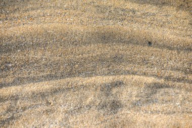 Yaz tarzı arka plan için kumsal desenli arka plan