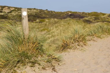 Kum tepeleri sahili tatil ortamında denize açılıyor.