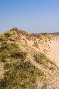 Kum tepeleri sahili tatil ortamında denize açılıyor.