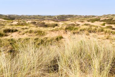 Kum tepeleri sahili tatil ortamında denize açılıyor.