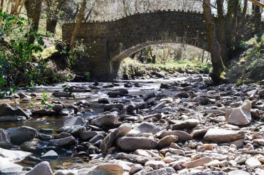 Kırsal kesimde bir yürüyüş parkurunda köprünün altından akan bir nehrin manzarası