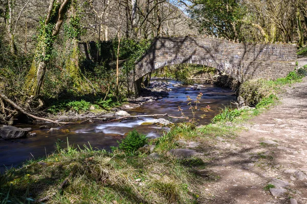 Naturskön Utsikt Över Flod Som Rinner Bro Vandringsled Landsbygden — Stockfoto