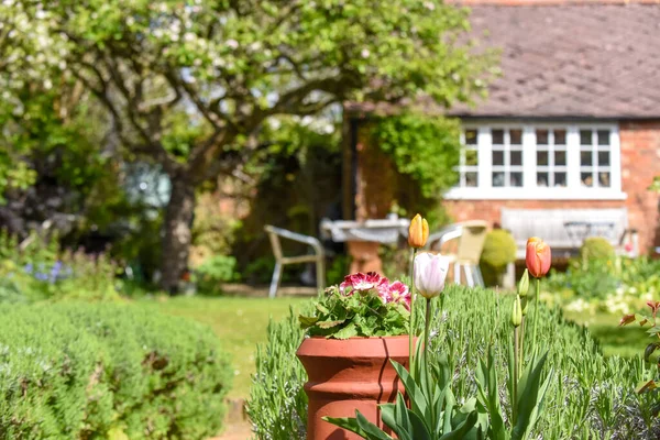 Sommer Blick Auf Einen Heimischen Garten Mit Blumen Rasen Und — Stockfoto