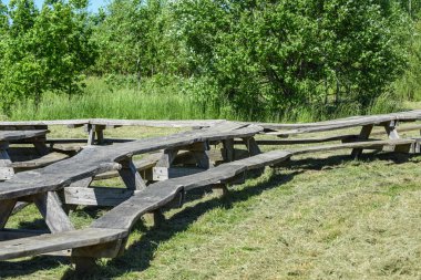 Güneşli bir parkta büyük bir piknik masası ve bank.