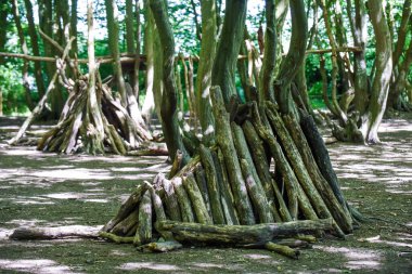 Dışarıda oynamak için çocuklar tarafından inşa edilen ormanlara sığınak ve kaleler kurun.