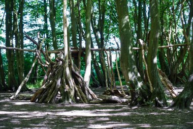 Dışarıda oynamak için çocuklar tarafından inşa edilen ormanlara sığınak ve kaleler kurun.