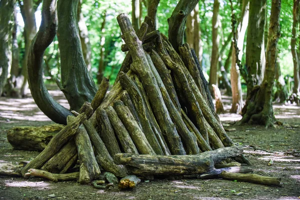 Stick Doupě Pevnosti Lese Postavené Dětmi Hrát Venku — Stock fotografie