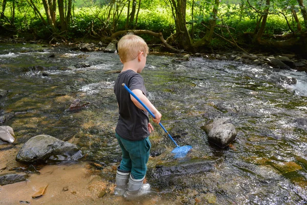 Menino Pescando Riacho Com Uma Rede Campo — Fotografia de Stock