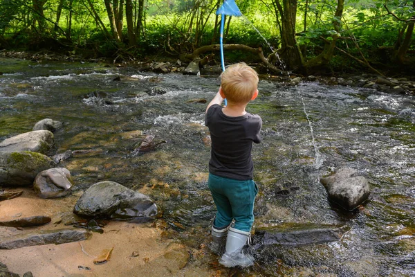 Menino Pescando Riacho Com Uma Rede Campo — Fotografia de Stock