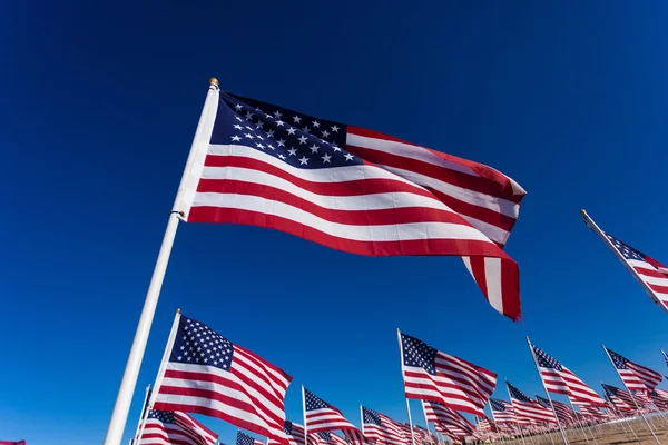 Amerikan bayrakları ile gökyüzü arka plan görüntüsünü