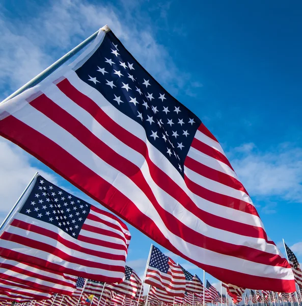 Field of American Flags — Stock Photo, Image