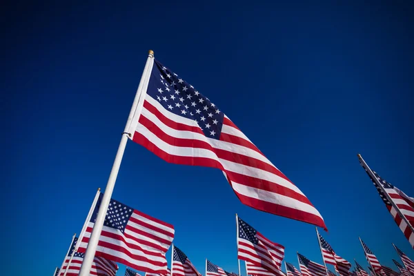 Una exhibición de banderas americanas con un fondo de cielo — Foto de Stock