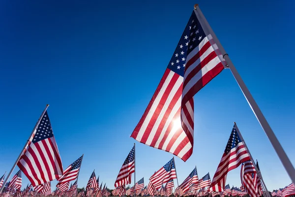 Una exhibición de banderas americanas con un fondo de cielo — Foto de Stock