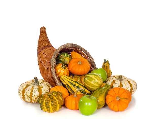 Herfst Cornucopia op wit — Stockfoto