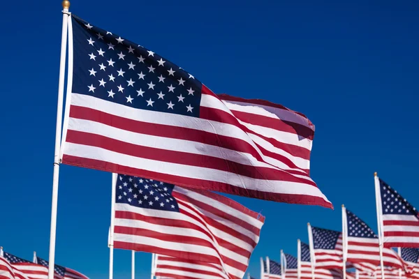 Una exhibición de banderas americanas con un fondo de cielo — Foto de Stock