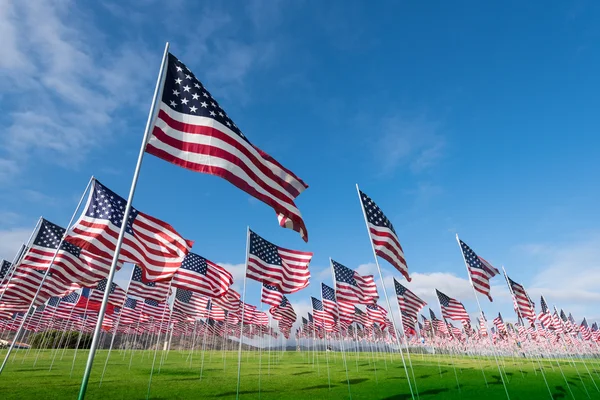 アメリカ国旗のフィールド — ストック写真