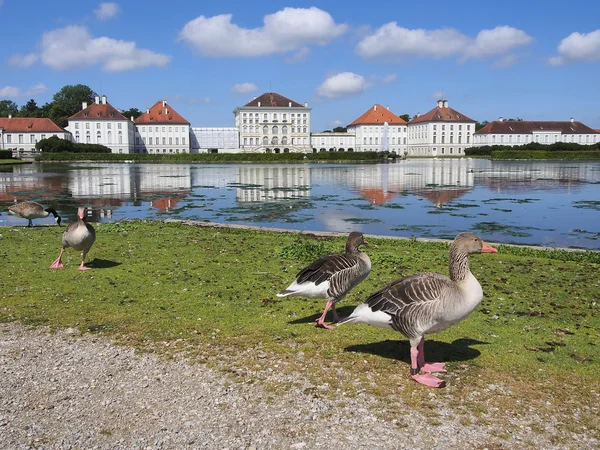 Pintoresco paisaje natural con el Palacio de Nymphenburg — Foto de Stock