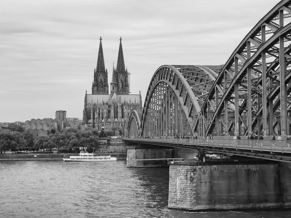 Köln Katedrali ve Almanya 'nın Ren Nehri üzerindeki Hohenzollern Köprüsü manzarası — Stok fotoğraf