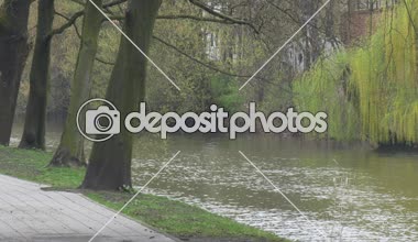 Nehir bahar taze yeşil yaprakları çıplak dalları su akar yakınındaki döşeli patika Şehir Parkı Willow