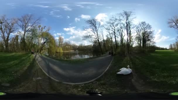 Ung Man med en ryggsäck går på Forest Road Panorama Video Forest i våren Video 360 optisk förvrängning soliga dag blå himlen vita moln — Stockvideo