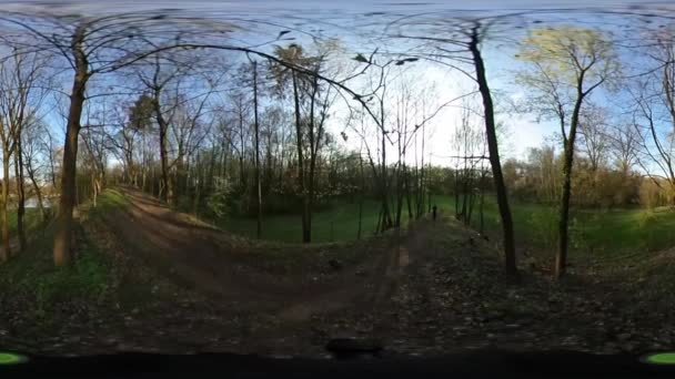 Hombre caminando por el sendero Panorama esférico Mochilero Dos caminos en un parque o bosque Ramas desnudas Soleado Primavera de Europa Cielo azul Little Planet Video — Vídeos de Stock