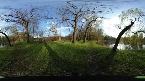 Man Walking door groen gazon bolvormig Panorama Video Backpacker Walker op Lake River in Forest kale takken zonnige lente blauwe hemel van de kleine planeet Video — Stockvideo