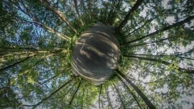 360vr Video sporcular Parkı yeşil ağaçlar çim güneşli gün mavi gökyüzü insanlar erkekler ve kadınlar çoğu çalışan Roller buz pateni sürme bir bisiklet yol yolda işaretlenir