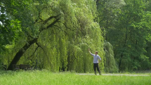 남자는 스마트 폰 녹색 공원 남자와 함께 사진 셀카를 복용하고 휴대 전화를 들고 녹색 나무 버드 나무가 골목을 따라 성장 중 공원 골목에 휴식을 가지고 — 비디오