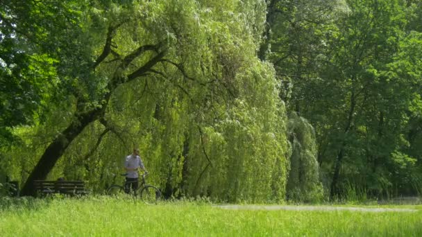 Man With Smartphone Sits on a Bike in Green Park Man Puts a Phone Away and Riding a Bicycle Bench in a Park Alley Green Trees Willows Grow Along the Alley — Stok Video