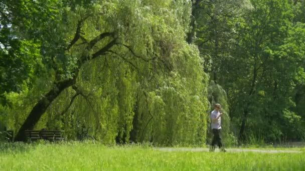 Mężczyzna rozmawia przez Smartphone spaceru przez Park aleja Green drzewa wierzby rosną wzdłuż Alley pojedynczy stół jest umieszczony na Aleja słoneczny letni dzień Opole — Wideo stockowe