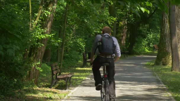 Mannelijke Backpacker krijgt op een fiets met een fiets weg in Alley bankje onder bomen toeristische hebben Rest sporten in zomer zonnige dag verse groene bomen — Stockvideo