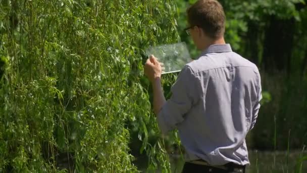 Man in Park is Turned Back klikken de Tablet scherm werken op Forex Chatting doen winkelen besteedt tijd aan de natuur fris groen bomen meer zonnige zomer — Stockvideo