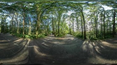 360vr Video insanlar roller çalıştıran binme pateni Park City yol kenarı sporcular tarafından bir bisiklet Park güneşli gün yol mavi gök yeşil ağaçlar yaz çizgi