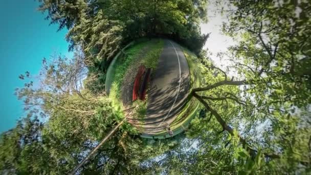 360vr Video Bench Park Alley straat Lamp weg in Park is gemarkeerd groene bomen grasgroen gazons zonnige dag Blue Sky zomer kleine planeet bolvormig Panorama — Stockvideo