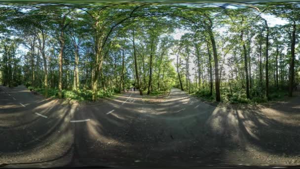 360vr 视频人跑滚轮溜冰骑自行车在公园由路边运动员在城市公园阳光日公路标记蓝天绿色树夏季 — 图库视频影像