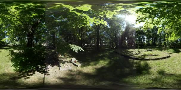 360vr кладовищі відео місце поховання на зеленій галявині старі могили каменів у сонячний день під зелені дерева, погойдуючись гілки хрестів пам'ятники освітлений літнього сонця — стокове відео