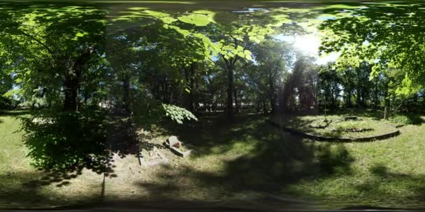 Vídeo 360Vr Cemitério Lugar de enterro em um gramado verde Velhas pedras tumulares em dia ensolarado Sob as árvores verdes Balançando Ramos Cruzes Monumentos Lit by Sun Summer — Vídeo de Stock