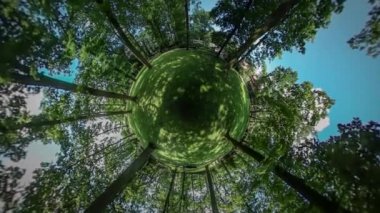 360vr Video yürüyüş Botanik Bahçesi yeşil çim Park arıyor etrafında turist geçirdiği zaman birlikte hayvanat bahçesi veya Park güneşli gün yeşil ağaçlar yaz içinde bir adamdır