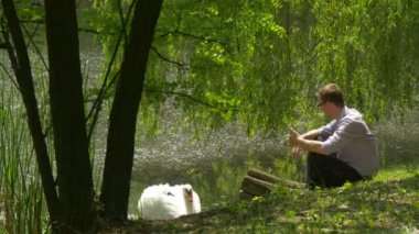 Telefon Gölü Swan yüzer banka adam cep telefonu atılım uzakta ile yakın yakınında oturan adam harcamak zaman doğa taze yeşil ağaçlar güneşli yaz gün