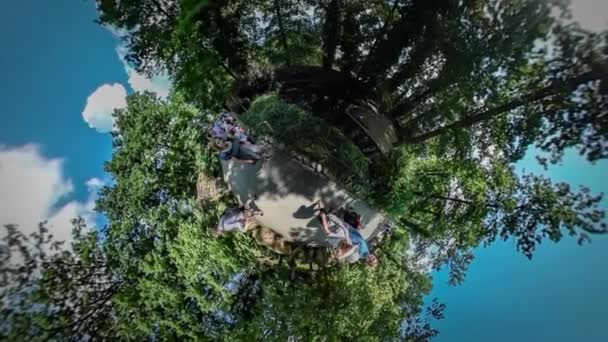 360vr відео люди на алеї ботанічний сад Ополе парк екскурсія прогулянки по алеї дивлячись навколо дітей батьки проводять час разом сонячний день зелені дерева — стокове відео