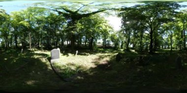 360vr Video adam siluet eski mezarlık yeşil çim mezar taşları güneşli günde yeşil altında sallanan dallar haçlar güneş yaz tarafından yaktı anıt ağaçlar