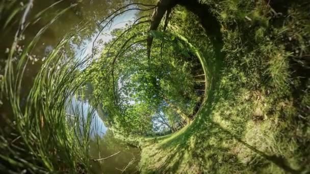 360Vr Video People Spend Time Near River Walking by Lake Bank Smooth Water Trees on Other Bank Water Plant Green Slopes Blue Sky Summer Evening Sunset — Stock Video