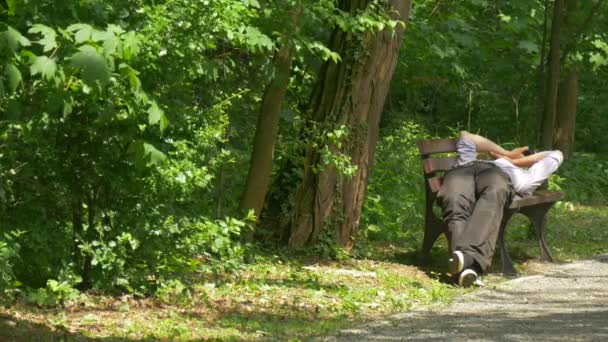 El hombre acostado en un banco se pone al día Toma el teléfono móvil en Green Park charlando Sosteniendo un teléfono inteligente Pasar tiempo en la naturaleza Árboles verdes frescos Soleado día de verano — Vídeos de Stock