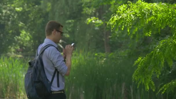 절반 켜지 남자 클릭에 여름 공원 휴대 전화 배낭 자연 신선한 녹색 나무 포 플 러 면 맑은 날에 산책은 스마트폰 — 비디오