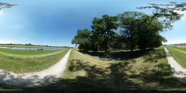 360vr відео Backpacker їде по дорозі на поле сферичні панорами людина на диких природи передмісті Ополе ясно Синє небо сонячний день поля — стокове відео